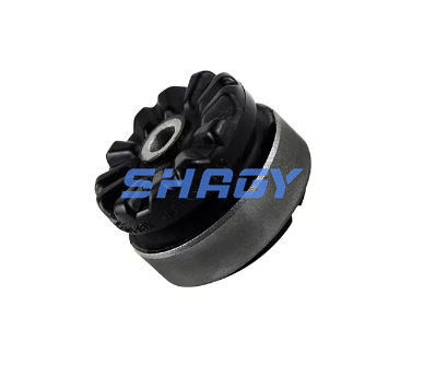Για την Mercedes W221 πίσω από την A2213205513 A2213205613 Mercedes Shock Absorber Accessories
