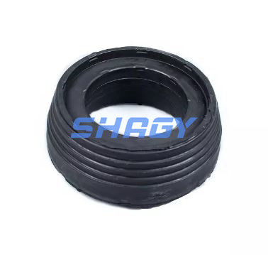 Για την Mercedes W221 πίσω από την A2213205513 A2213205613 Mercedes Shock Absorber Accessories