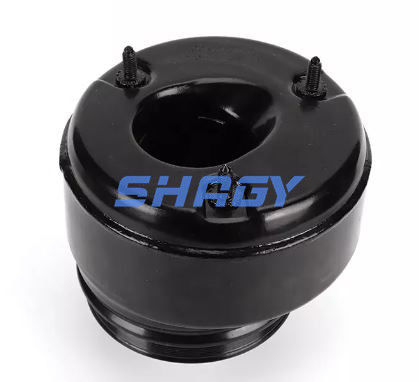 Για την Mercedes W221 πίσω από την A2213205513 A2213205613 Mercedes Shock Absorber Accessories